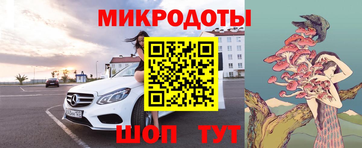 Псилоцибиновые грибы Psilocybe Глазов