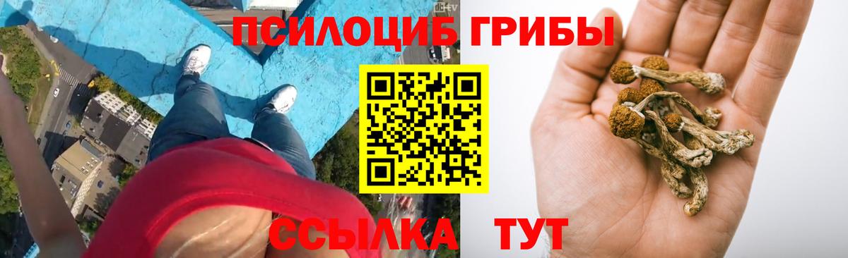 наркотики  Вход с VPN  Глазов  Галлюциногенные грибы ЛСД  Галлюциногенные грибы прущие грибы 